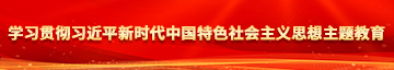 亚州元码字幕中文学习贯彻习近平新时代中国特色社会主义思想主题教育